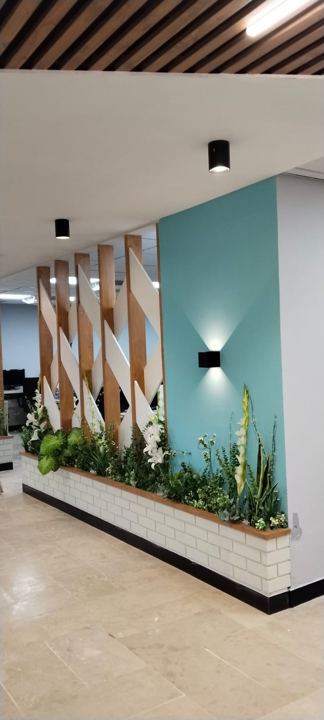IT Office photo 1